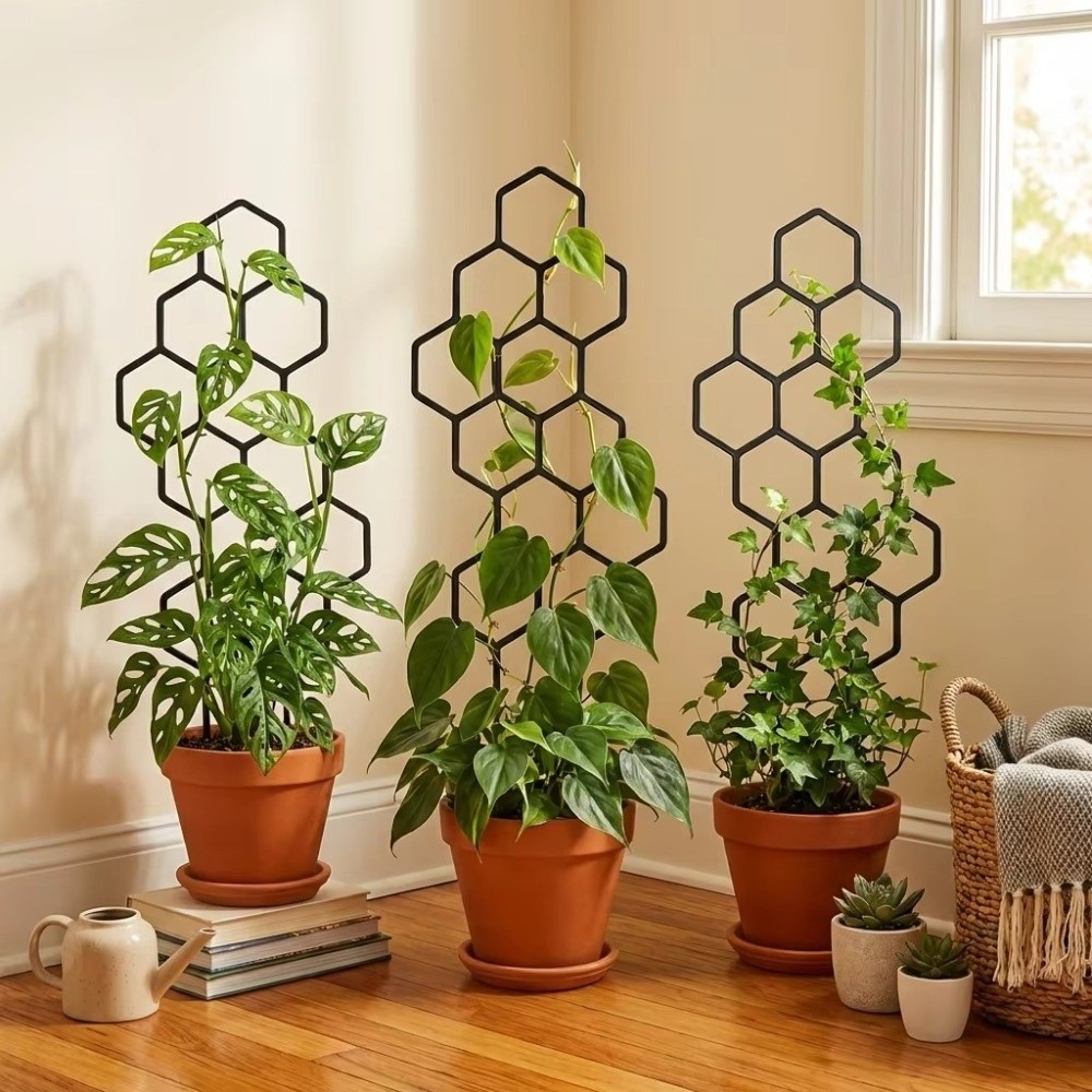 Honeycomb Design Plant Trellis - Sphagnum Moss Dry 评论和价格