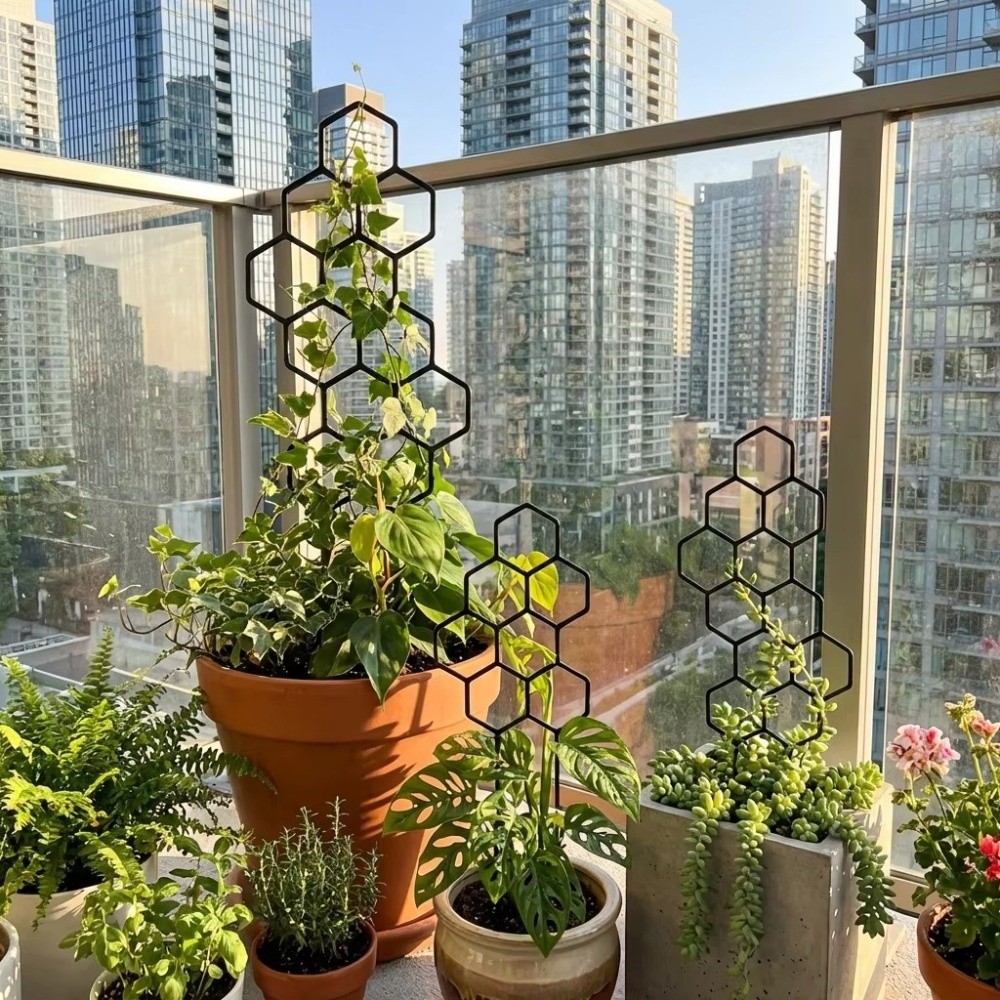 Honeycomb Design Plant Trellis - Sphagnum Moss Dry 评论和价格