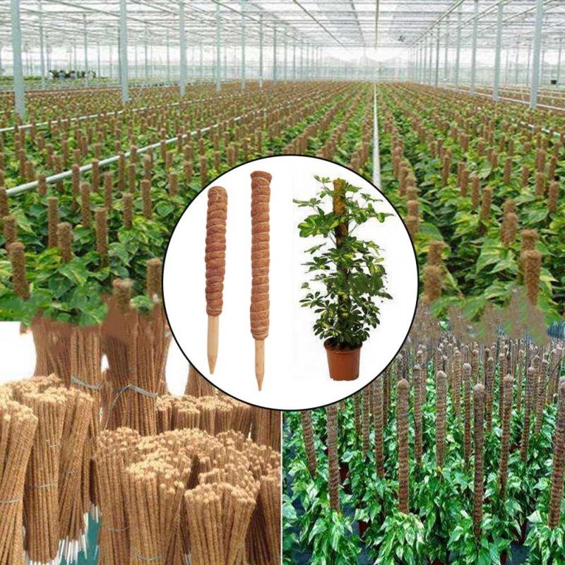 30/40/50cm Plant Climbing Coir - Sphagnum Moss Dry 评论和价格
