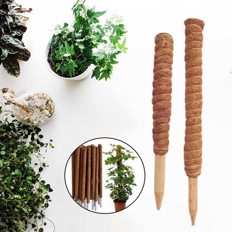30/40/50cm Plant Climbing Coir - Sphagnum Moss Dry 评论和价格