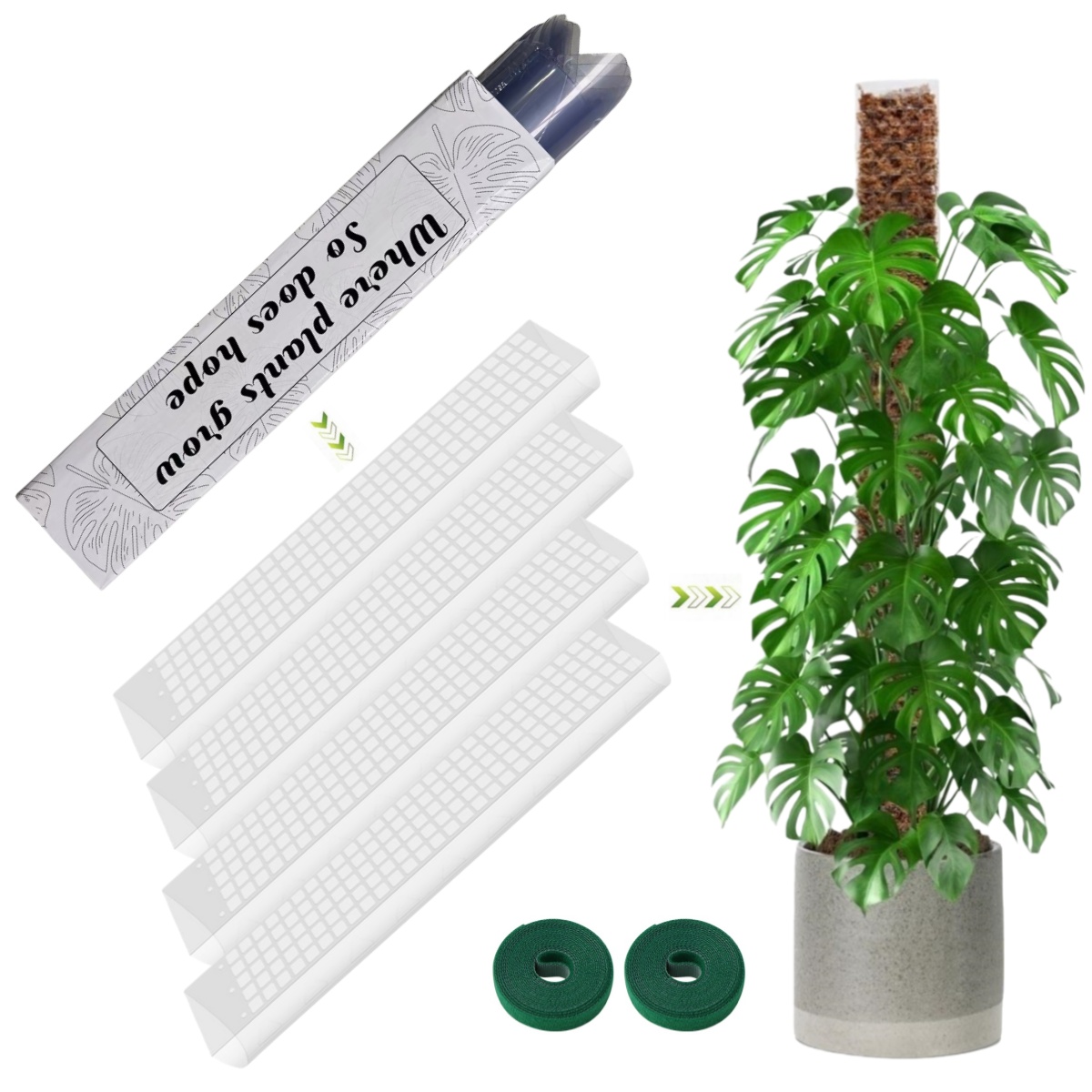 Moss Pole Plastic Plant Stand  - Sphagnum Moss Dry 评论和价格