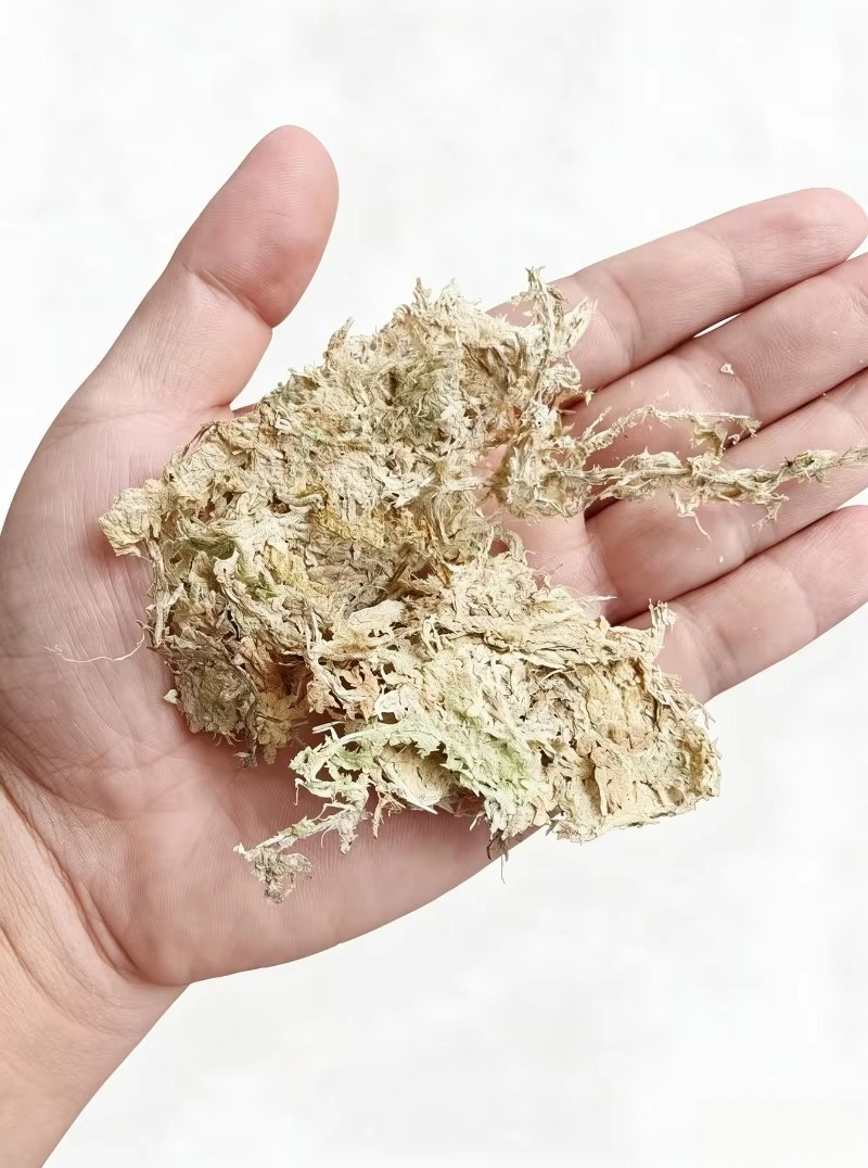 Premium Sphagnum Moss for Orch - Sphagnum Moss Dry 评论和价格